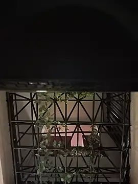 Juann-cock online show from June 2, 3:28 am