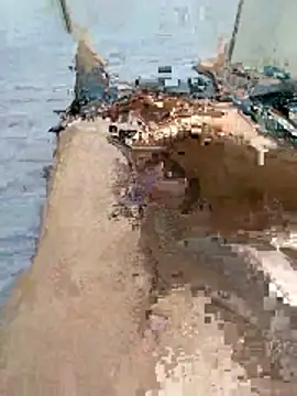 wrdew online show from January 13, 4:05 am