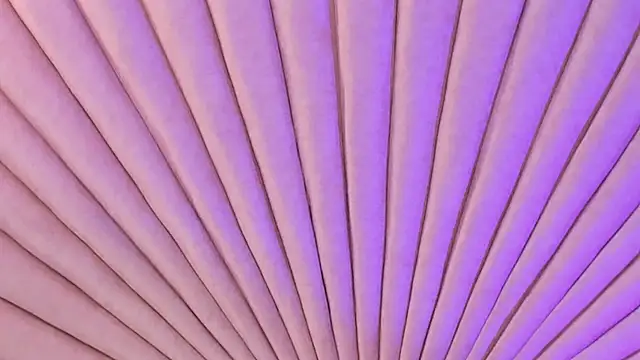 EmaDuff online show from September 29, 12:00 pm