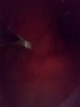 sulove xx online show from November 12, 1:04 pm