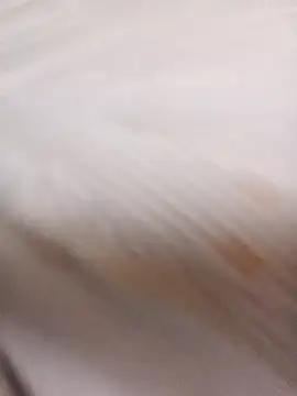 sulove xx online show from March 31, 11:40 pm