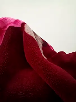 Snapshot of Buny_vera chatting on December 20, 2:14 am Buny vera online show from December 20, 2:14 am