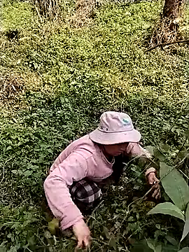 quynhkoolbae online show from March 10, 2:37 am