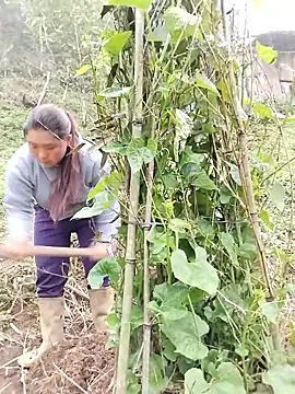 quynhkoolbae online show from March 21, 9:14 am