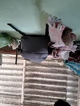 akshant1234 online show from November 8, 5:11 am