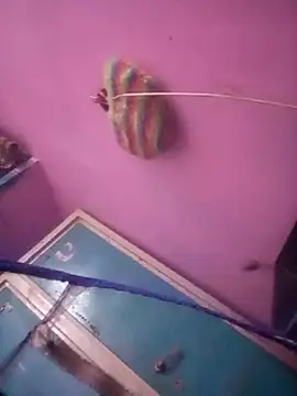 TINASONI online show from November 16, 1:32 am