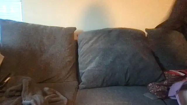 RichDaddy60 online show from November 4, 12:53 pm