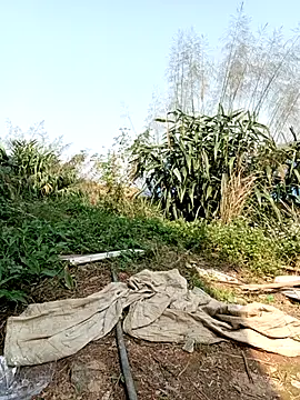 linda bae00 online show from March 2, 7:15 am