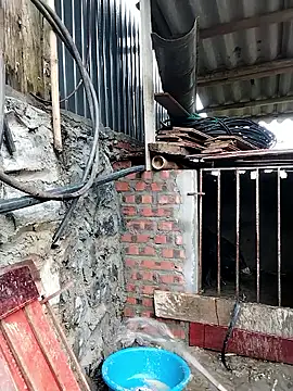 linda bae00 online show from February 26, 12:43 am