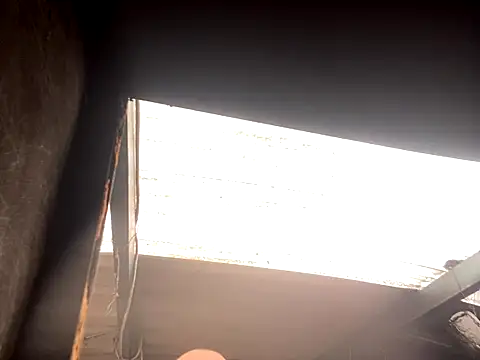 rider239 online show from October 2, 5:16 pm