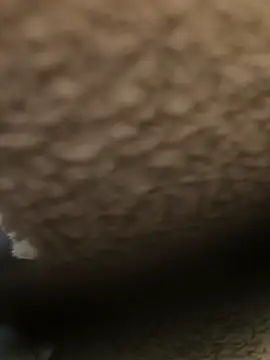 Snapshot of xxxfeo chatting on September 18, 2:31 pm xxxfeo online show from September 18, 2:31 pm