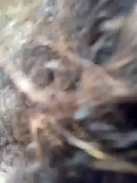 Snapshot of Missparis chatting on November 14, 8:56 pm Missparis online show from November 14, 8:56 pm