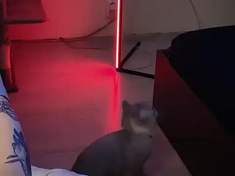 davesinner online show from March 1, 9:42 am