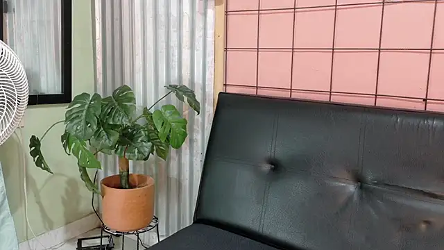 Daiisy kiss online show from February 4, 7:58 am