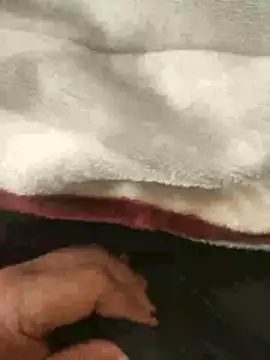 mM0140 online show from January 13, 8:29 am