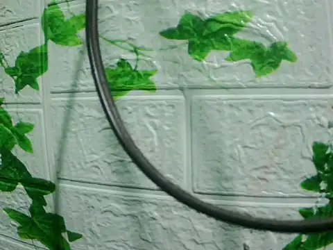 daros453 online show from November 3, 2:17 am