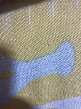 Snapshot of HaltBrand chatting on November 17, 12:36 am HaltBrand online show from November 17, 12:36 am