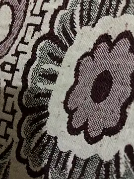 Snapshot of HaltBrand chatting on November 10, 12:48 am HaltBrand online show from November 10, 12:48 am