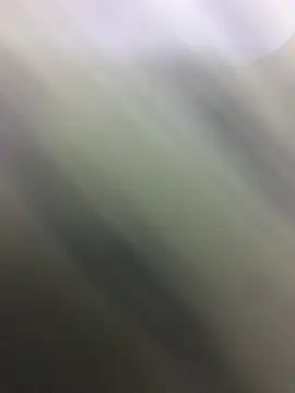 Snapshot of HaltBrand chatting on October 22, 11:03 pm HaltBrand online show from October 22, 11:03 pm