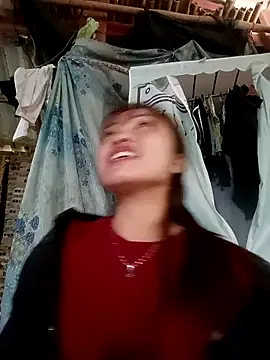 adbosa 00 online show from November 5, 8:17 am