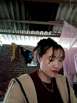 adbosa 00 online show from November 3, 2:17 am