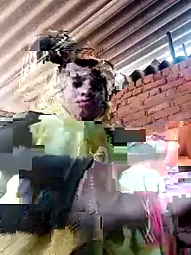 Snapshot of Soniya_pandit chatting on September 9, 3:49 am Soniya pandit online show from September 9, 3:49 am