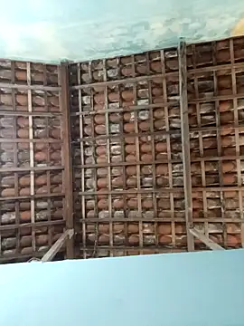 NegroAracaju online show from April 19, 12:11 am