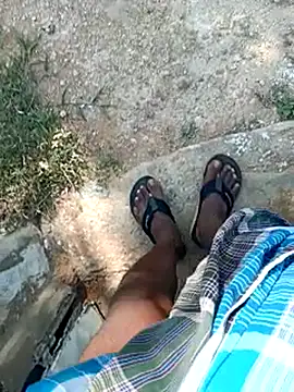 dolphiinn online show from April 12, 10:40 am