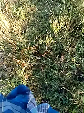 dolphiinn online show from April 19, 1:50 am