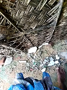 Snapshot of dolphiinn chatting on November 30, 4:35 am dolphiinn online show from November 30, 4:35 am