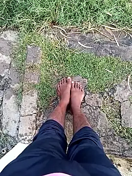 dolphiinn online show from December 23, 1:05 am