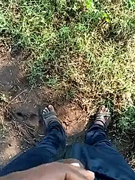 dolphiinn online show from February 25, 3:18 am