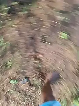 dolphiinn online show from March 12, 2:06 am