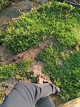 dolphiinn online show from March 21, 1:40 am