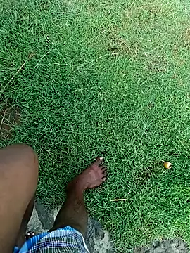 Snapshot of dolphiinn chatting on November 7, 2:27 am dolphiinn online show from November 7, 2:27 am