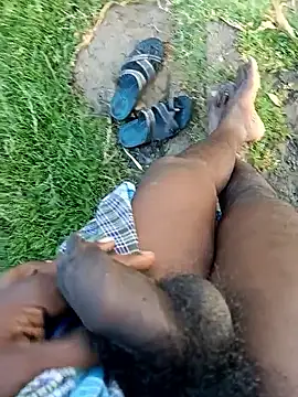 dolphiinn online show from January 8, 1:55 am