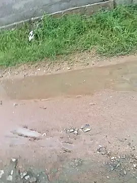 Snapshot of dolphiinn chatting on November 29, 2:34 am dolphiinn online show from November 29, 2:34 am