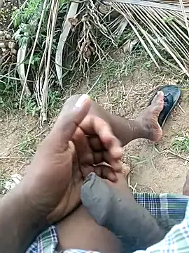 dolphiinn online show from April 13, 2:59 am