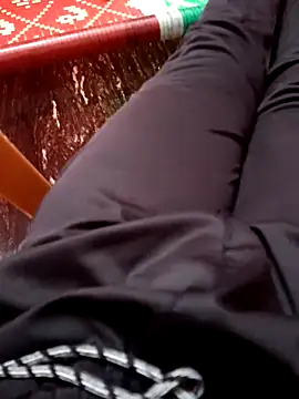 Snapshot of dolphiinn chatting on November 8, 1:47 pm dolphiinn online show from November 8, 1:47 pm