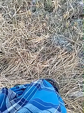 dolphiinn online show from March 27, 1:03 am