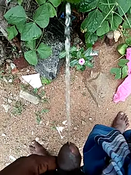 Snapshot of dolphiinn chatting on November 10, 6:51 am dolphiinn online show from November 10, 6:51 am