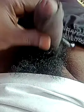 dolphiinn online show from December 5, 4:55 am