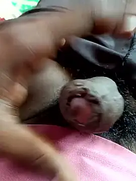 Snapshot of dolphiinn chatting on November 4, 5:33 am dolphiinn online show from November 4, 5:33 am