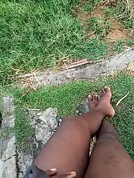 dolphiinn online show from January 11, 1:23 am