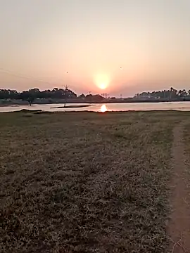 dolphiinn online show from February 12, 1:27 am