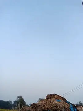 Pinky12A online show from January 12, 11:39 am