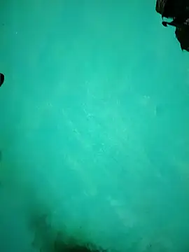 Arti13A online show from January 17, 3:15 pm