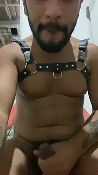 spiderfindom online show from November 4, 5:22 am
