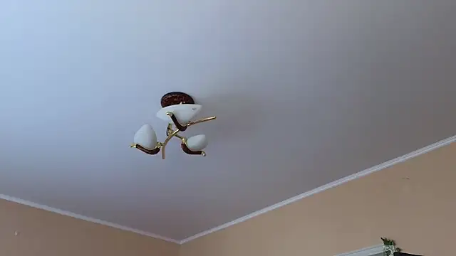 Rosette Pricky online show from April 18, 2:19 pm