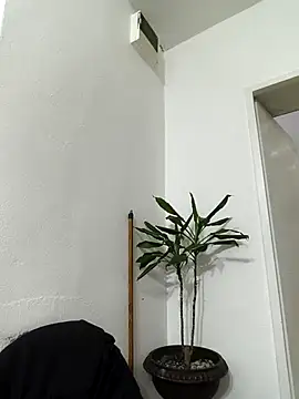 papichulo0099 online show from February 15, 2:34 am